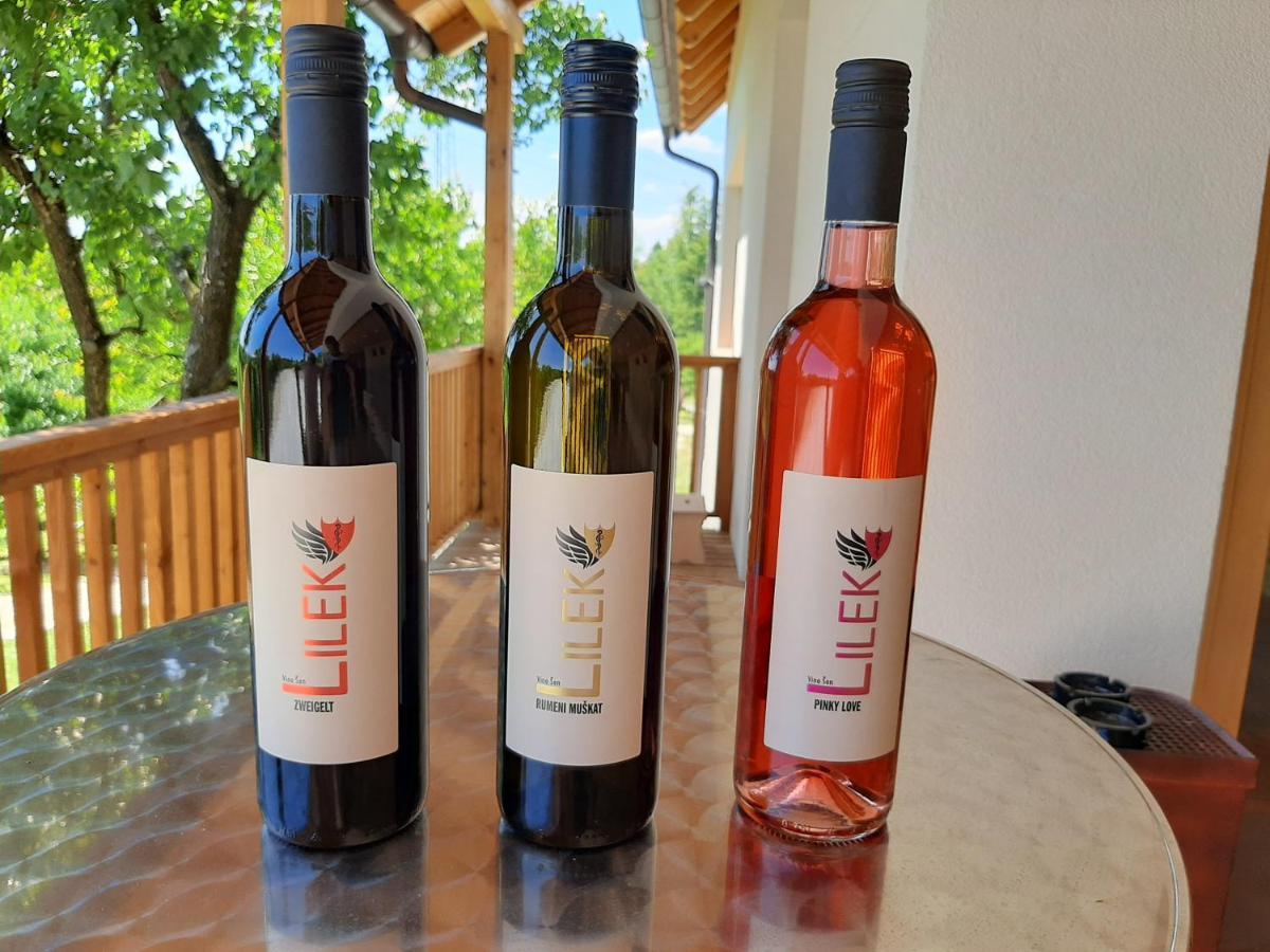 Rooms & Wine Lilek Sentilj Εξωτερικό φωτογραφία