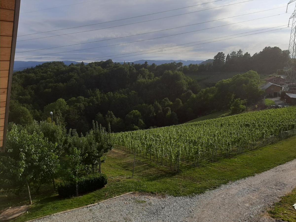 Rooms & Wine Lilek Sentilj Εξωτερικό φωτογραφία