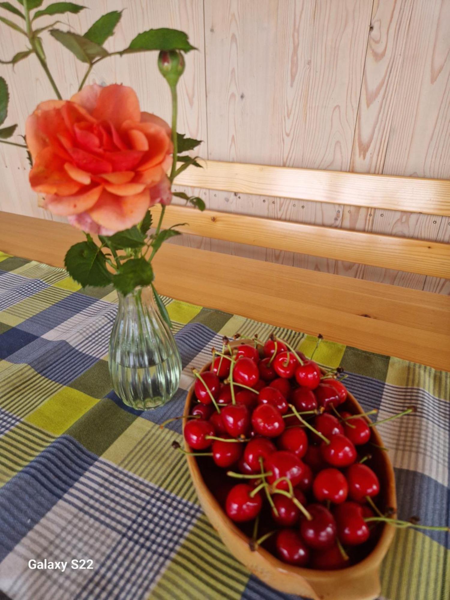 Rooms & Wine Lilek Sentilj Εξωτερικό φωτογραφία